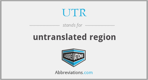 What is the abbreviation for untranslated region?